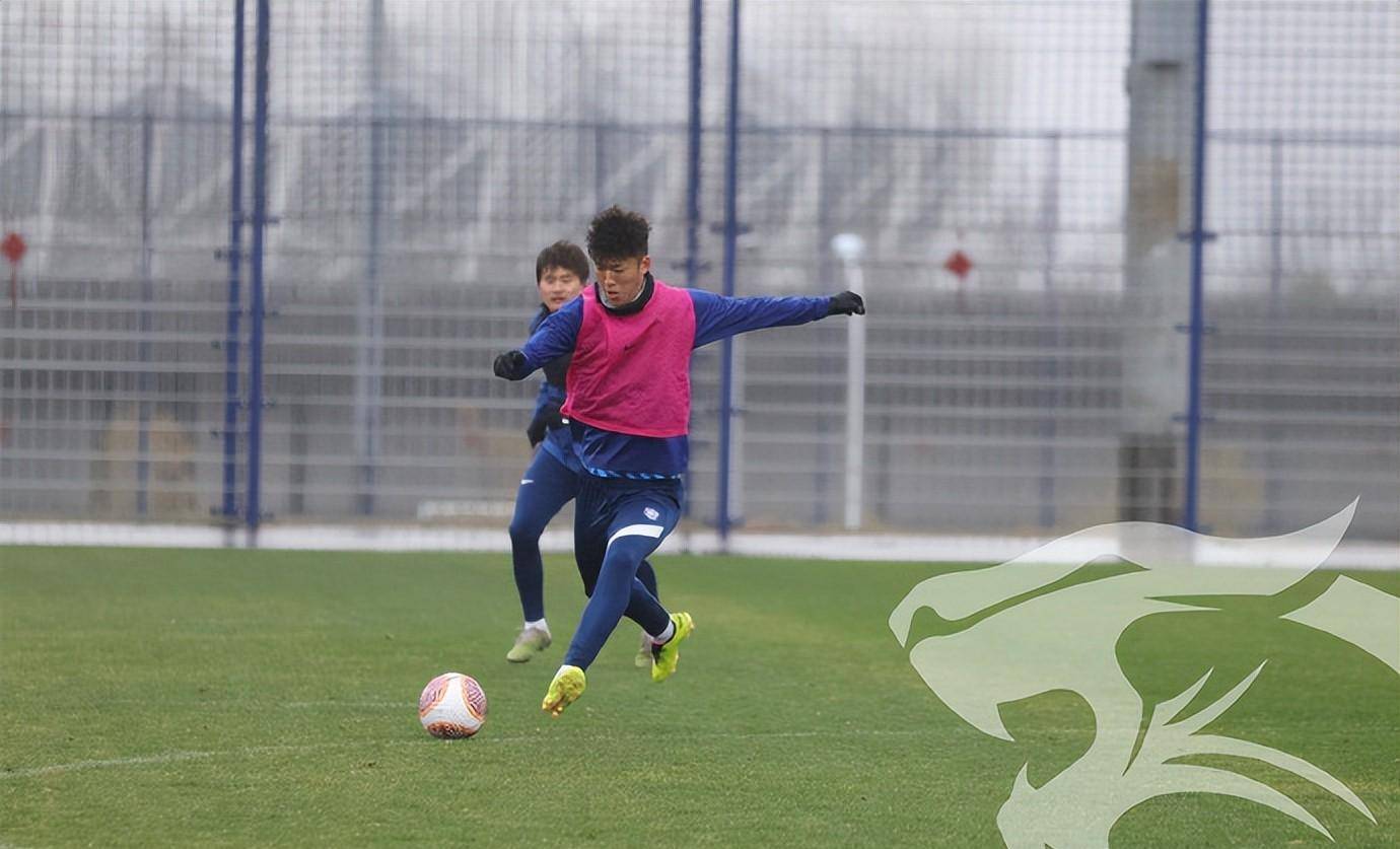 九游官网-武汉三镇迎全明星赛关键赛，窗口期再遭质疑，引发热议，纪律约束更严格的简单介绍